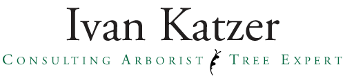 Ivan Katzer | Consulting Arborist | Tree Expert